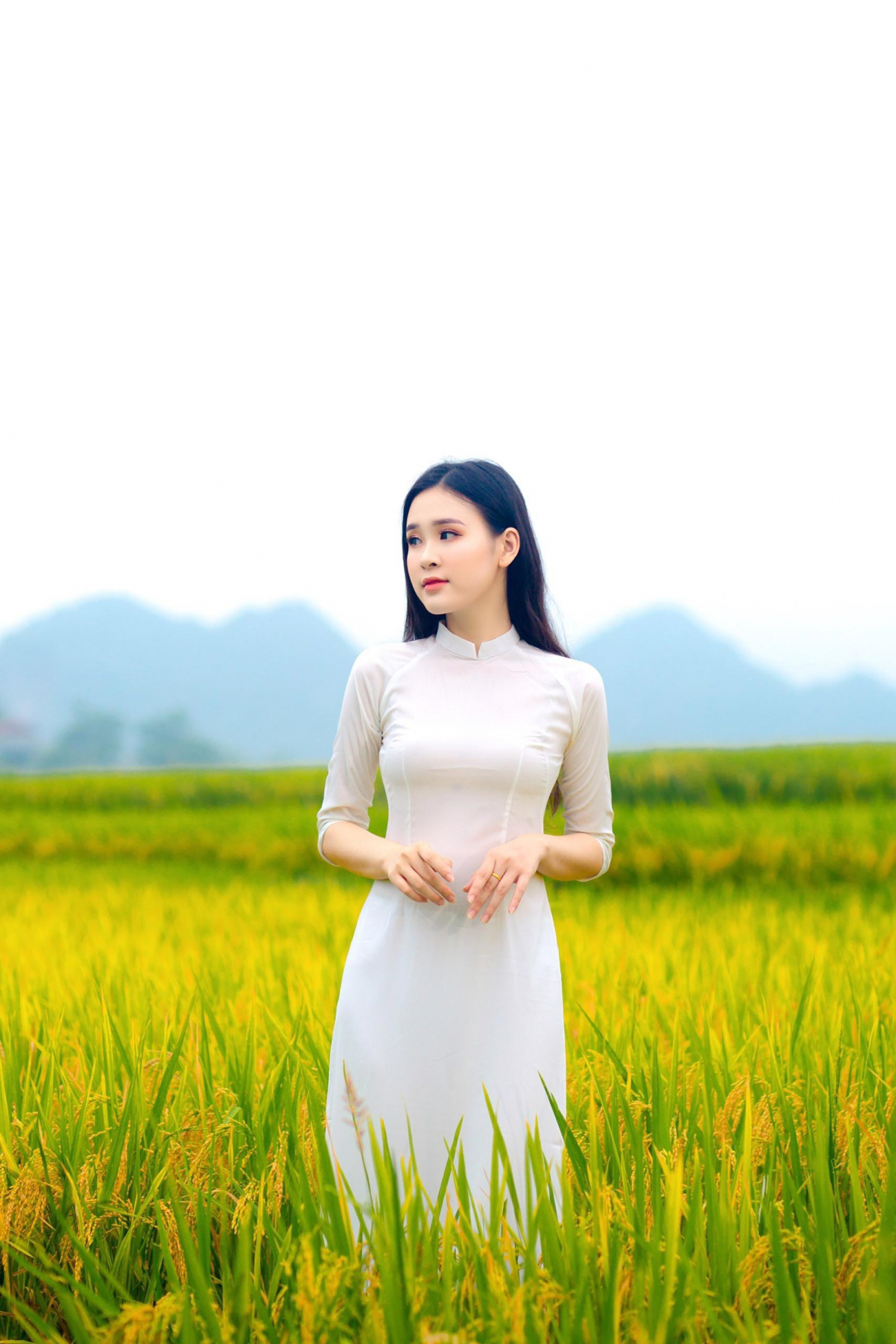 Hoa khôi sinh viên nghệ an từng thi hhvn 2020 khoe nhan sắc ngọt ngào với áo dài trắng - 3